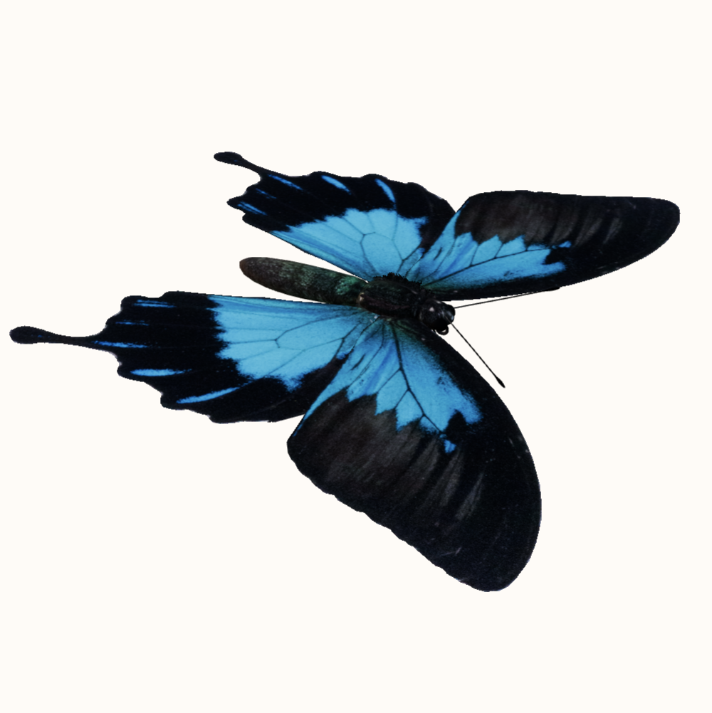 Taurenīša modeļa sīktēls