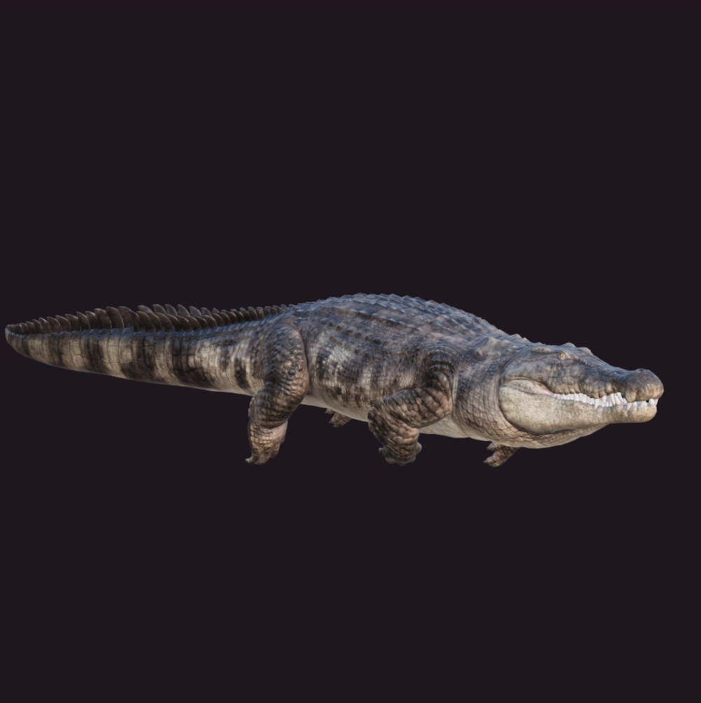 Krokodila modeļa sīktēls