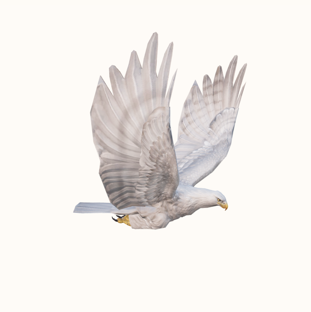 Ērgļa modeļa sīktēls