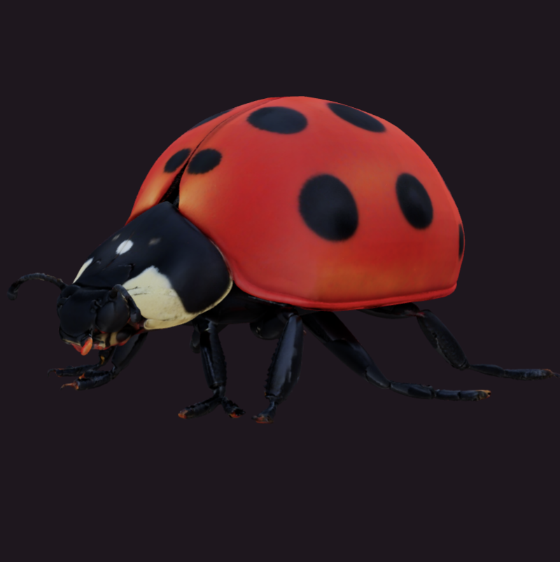 Mārītes modeļa sīktēls