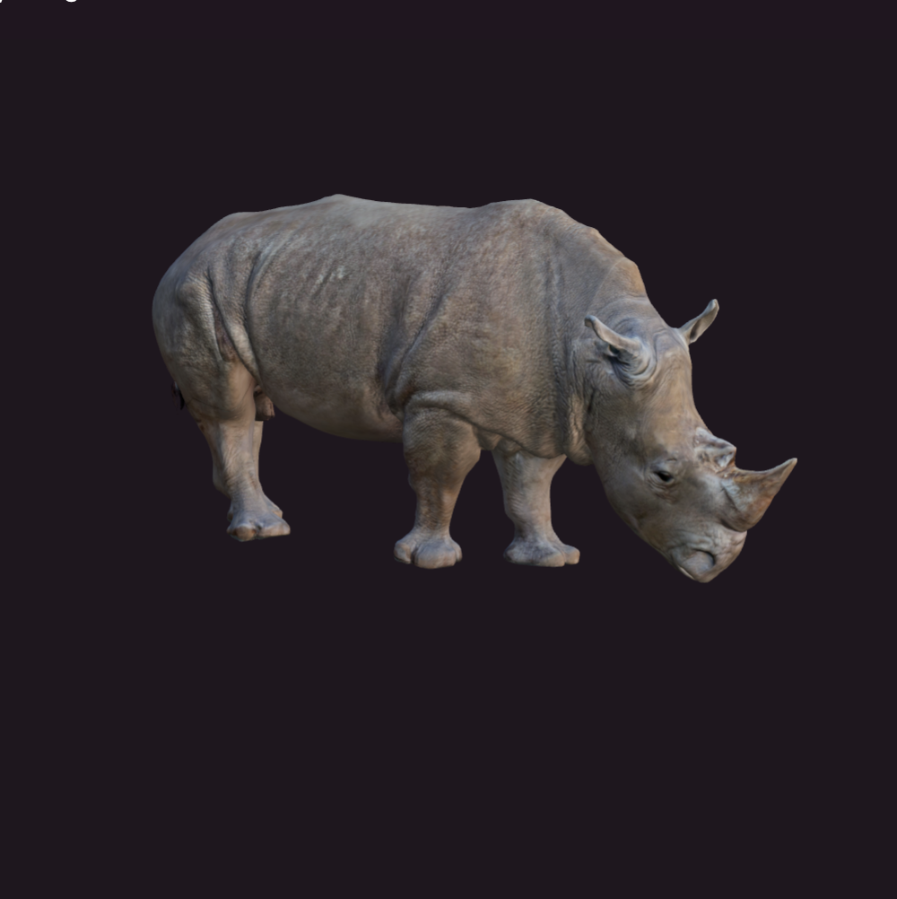 Degunradža modeļa sīktēls