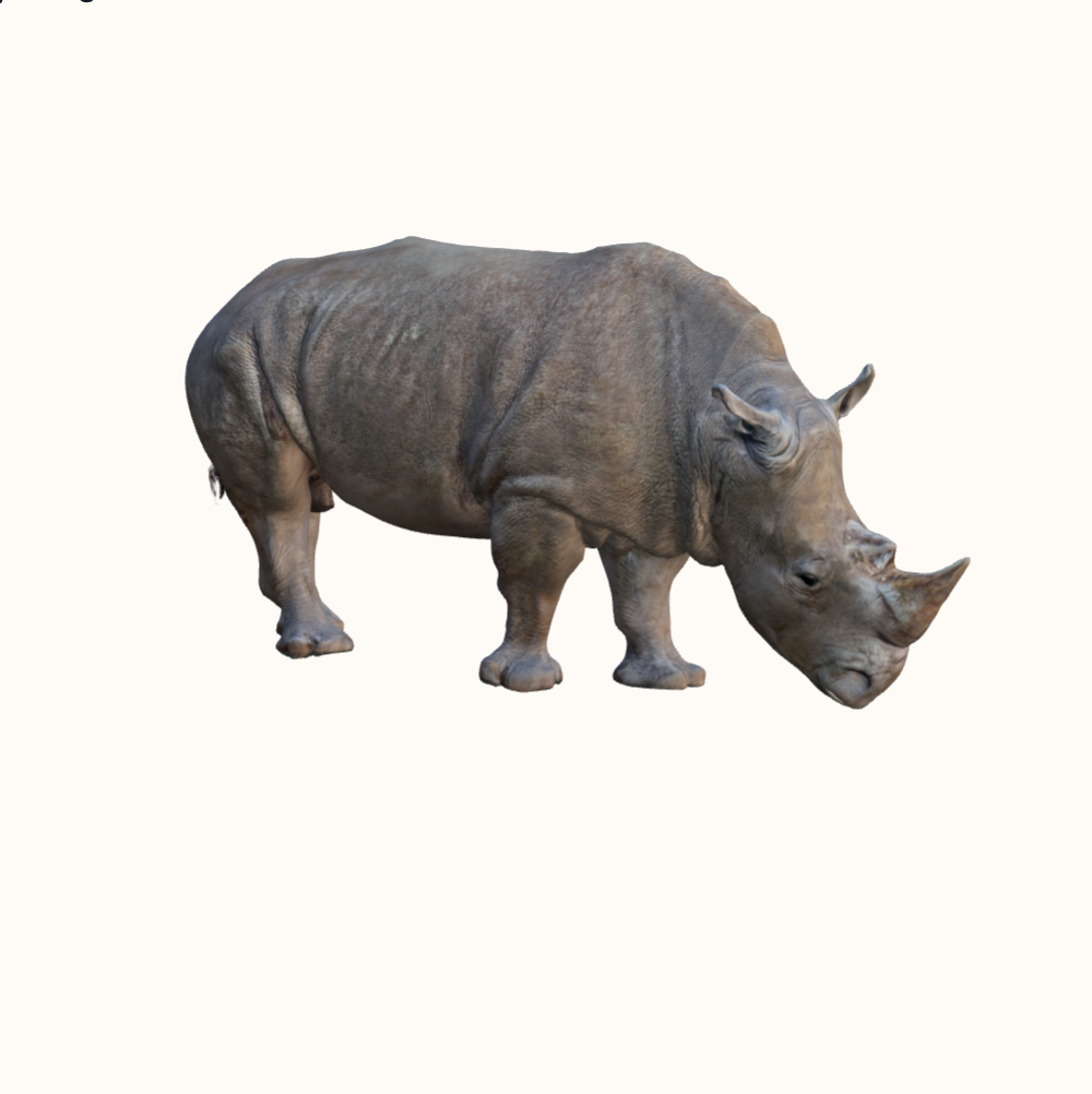 Degunradža modeļa sīktēls