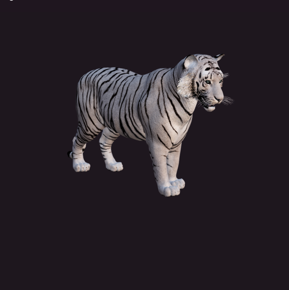 Baltā tīģera modeļa sīktēls