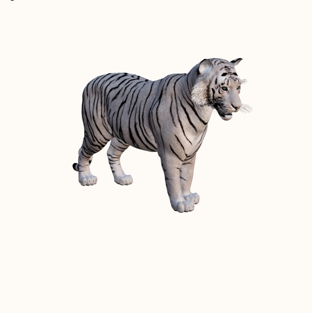 Baltā tīģera modeļa sīktēls